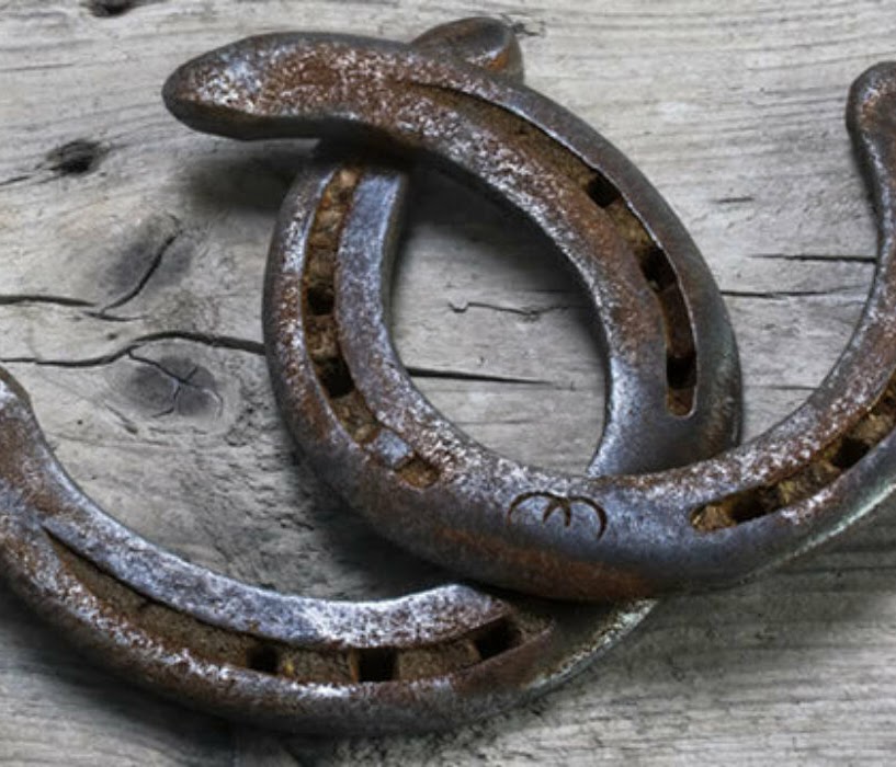 Horseshoe closeup