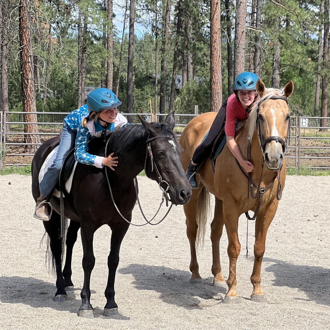 Riding Lessons